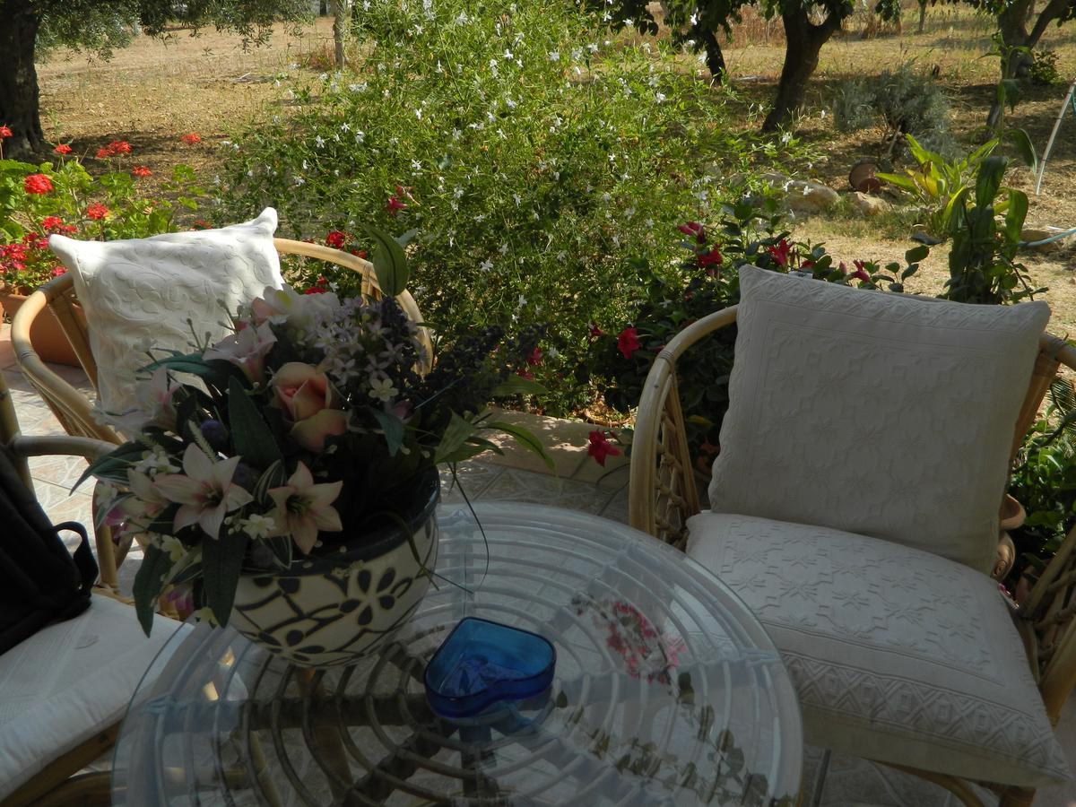 Bed and Breakfast Uliveto House Castellammare del Golfo Exteriér fotografie