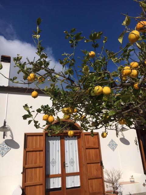 Bed and Breakfast Uliveto House Castellammare del Golfo Exteriér fotografie
