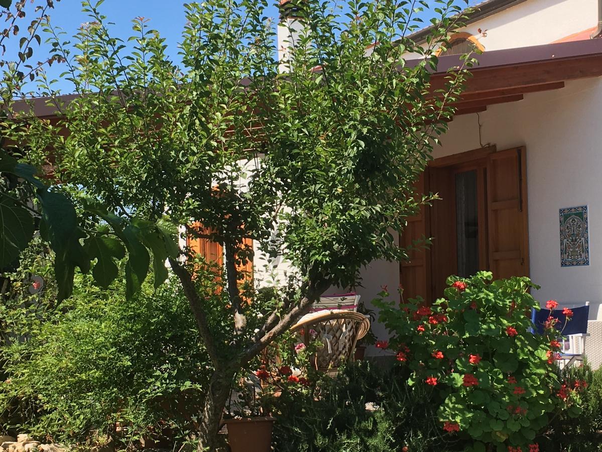 Bed and Breakfast Uliveto House Castellammare del Golfo Exteriér fotografie